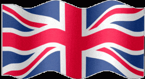 N One Disposable Nic Salt Pod N One Disposable Nic Salt Pod